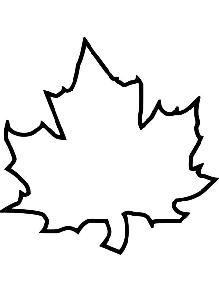 Кленовый лист карандашом