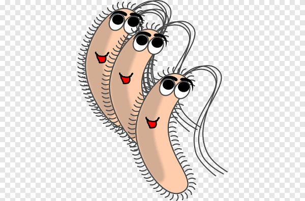 Веселые бактерии