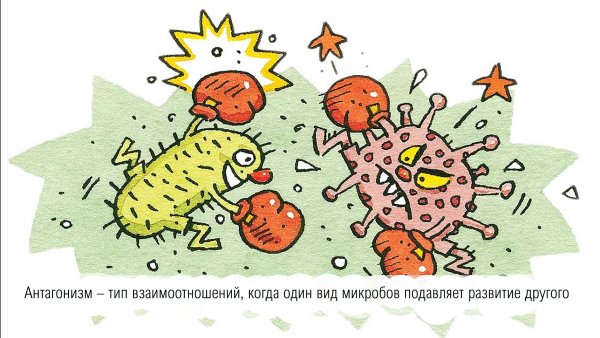 Полезные микробы для детей