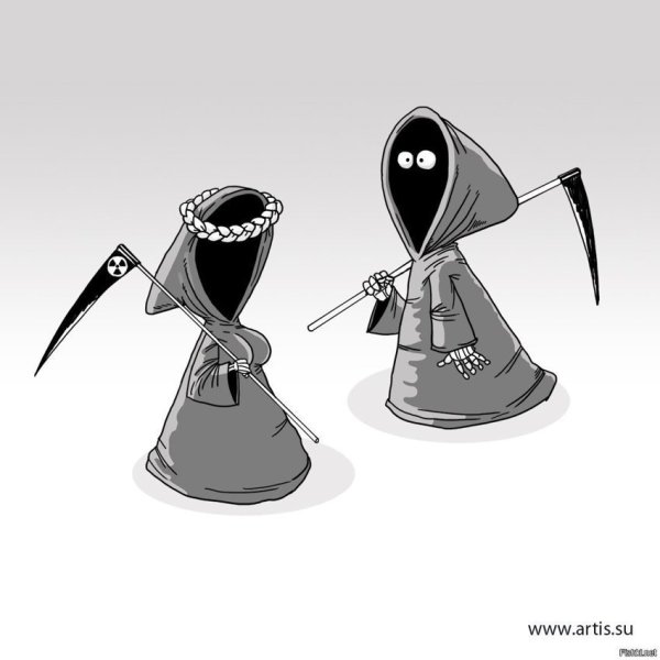 Скелет кота