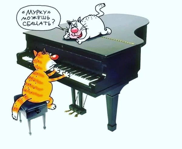 Смешные музыканты