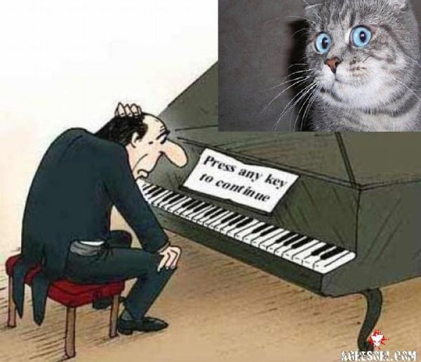 Про пианистов смешно