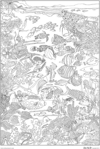 Коралловый риф раскраска