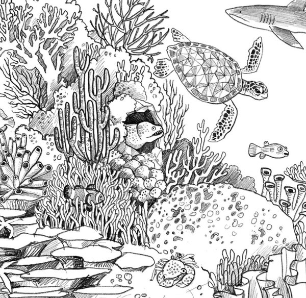 Коралловый риф раскраска