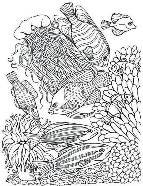 Коралловый риф раскраска