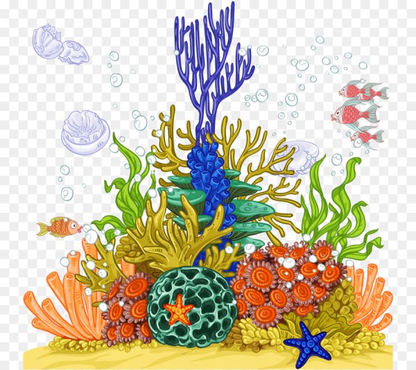 Морское дно для детей водоросли