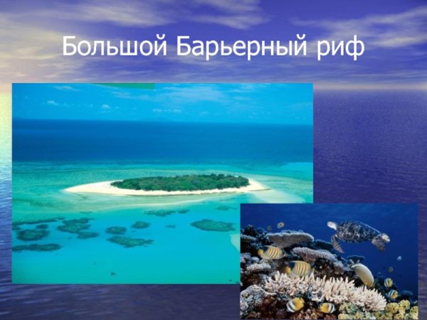 Большой Барьерный риф всемирное наследие
