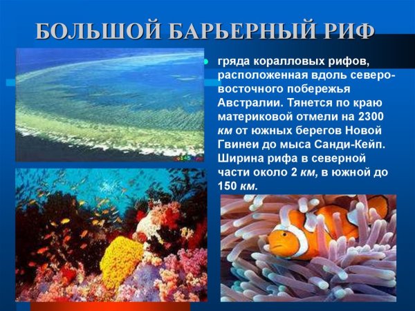 Большой Барьерный риф география 7 класс