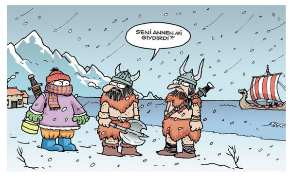 Шутки про викингов