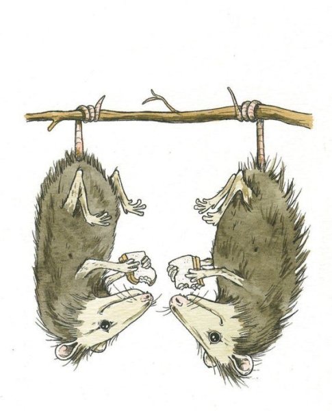 Опоссум нарисованный