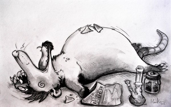 Опоссум карандашом