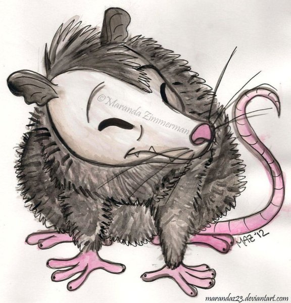 Опоссум нарисованный