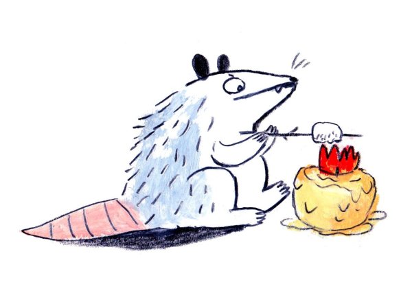 Забавный опоссум арт