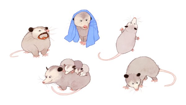 Опоссум арт