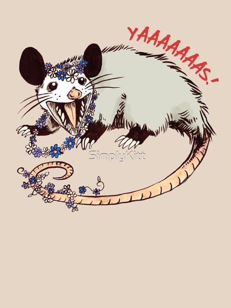 Опоссум рисунок