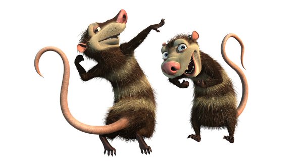 Ледниковый период краш Эдди