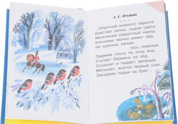 Мальчишек радостный народ коньками звучно стих