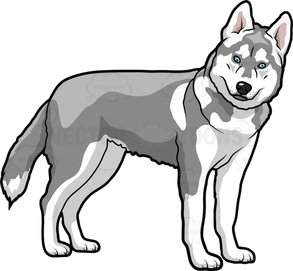 Трафарет хаски для рисования