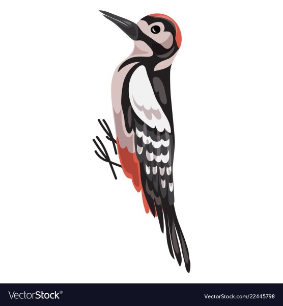 Михаил Ведерников птицы в шляпах