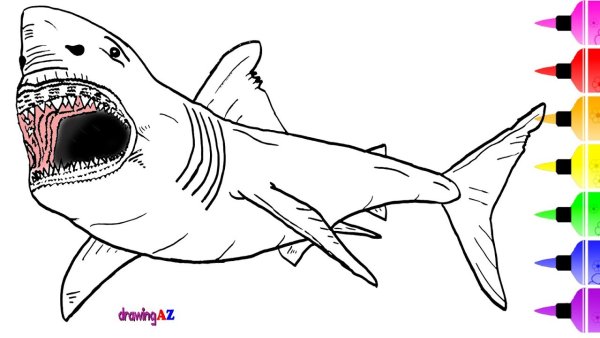 Раскраска акула МЕГАЛОДОН