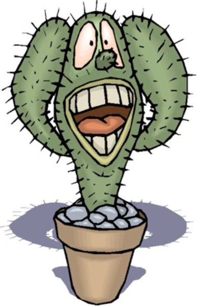 Смешной Кактус