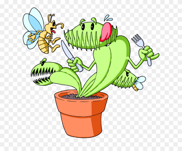 Детки у Венериной мухоловки