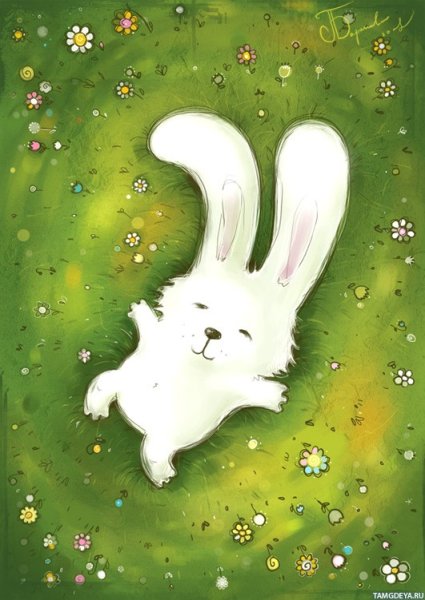 Счастливый зайчик