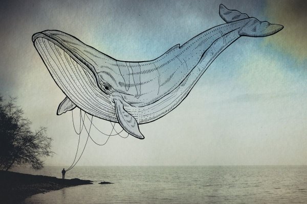 Нарисовать кита