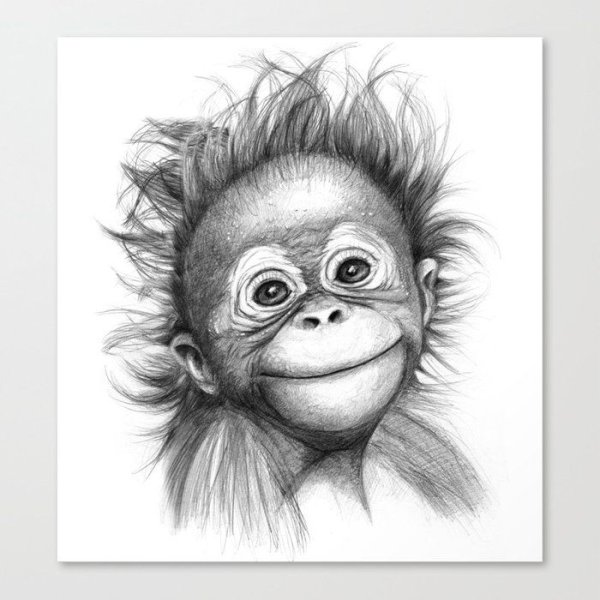 Обезьяна карандашом