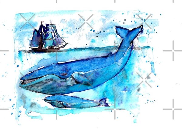 Киты акварелью легко