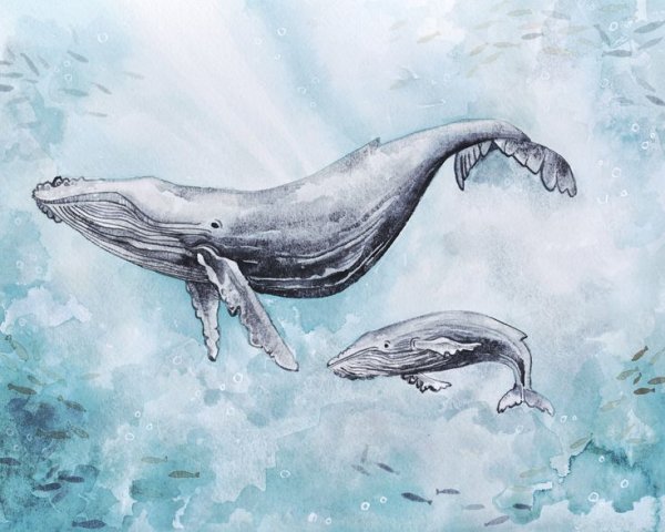 Горбатый кит арт