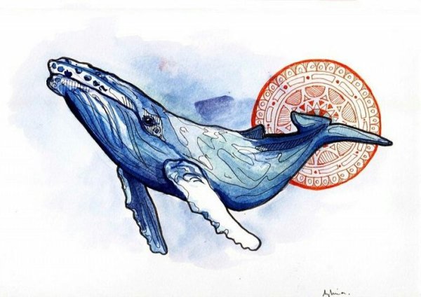 Эскиз тату синий кит