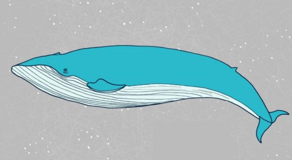 Синий кит рисунок