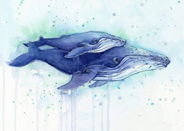 Кит рисунок