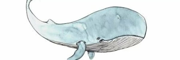 Кит вид сбоку рисунок