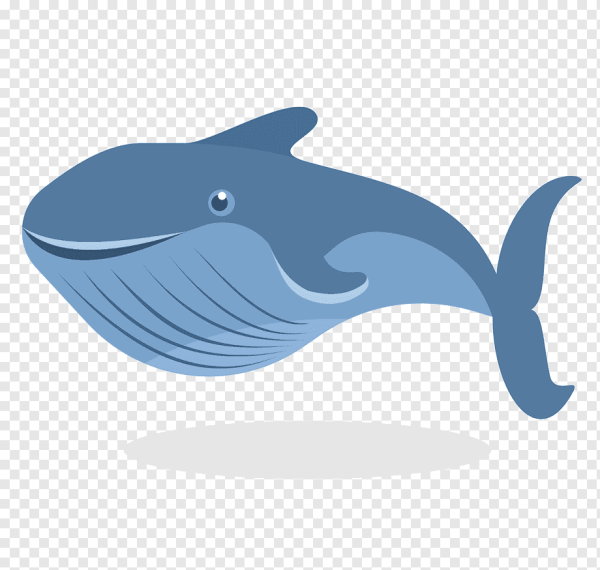 Синий кит мультяшный
