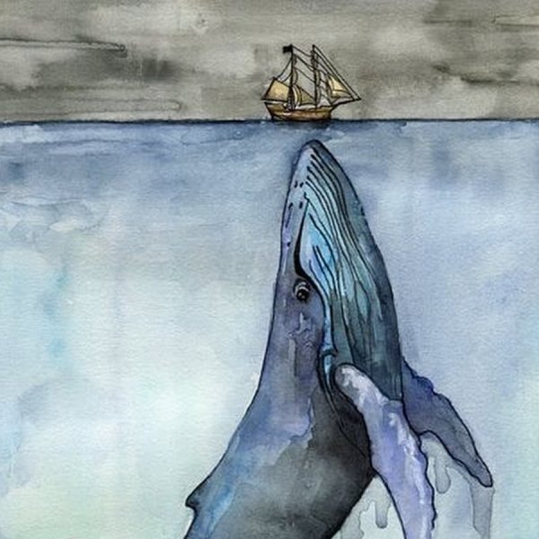 Кит акварелью в воде