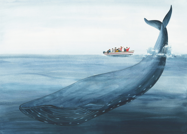 Кит и корабль