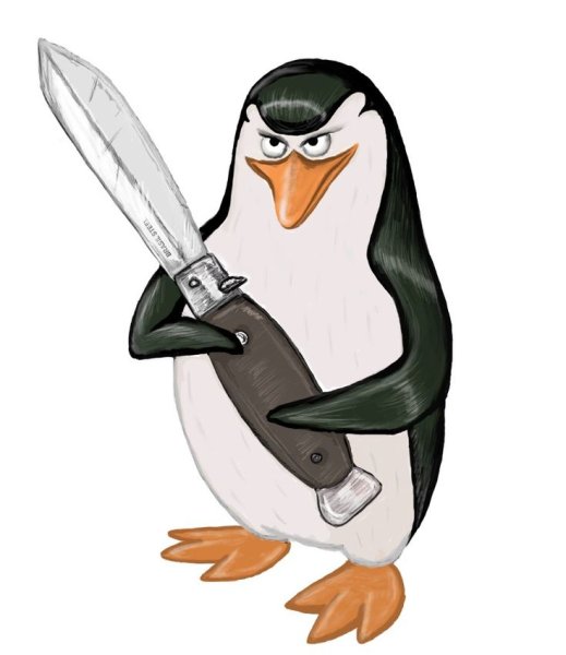 Пингвины из Мадагаскара Ковальски и Рико