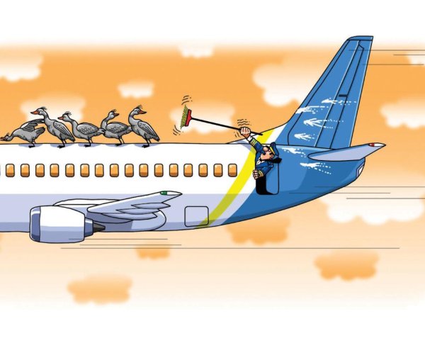 Карикатуры на самолеты