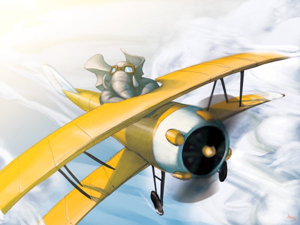 Сказочный самолет