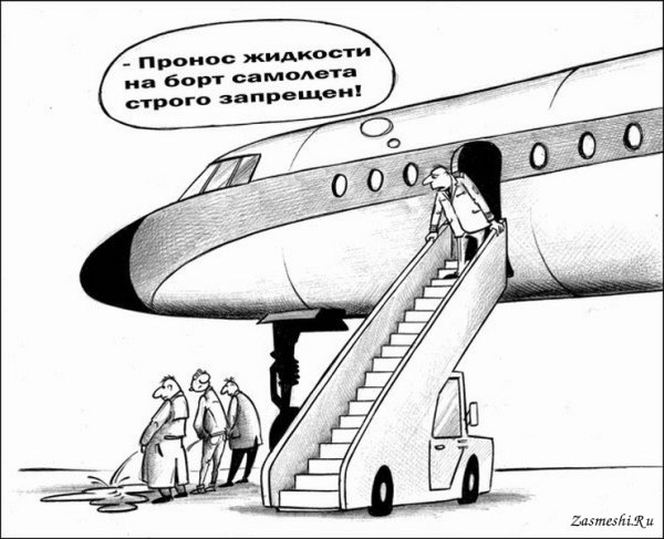 Самолет прикол