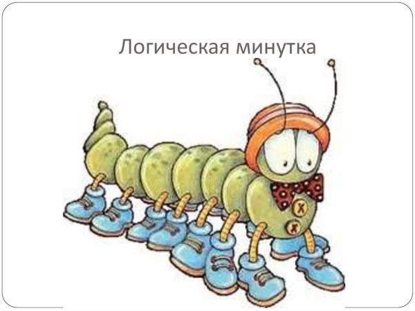 Гусеница - сороконожка