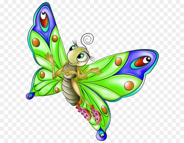 Картинка на шкафчик бабочка