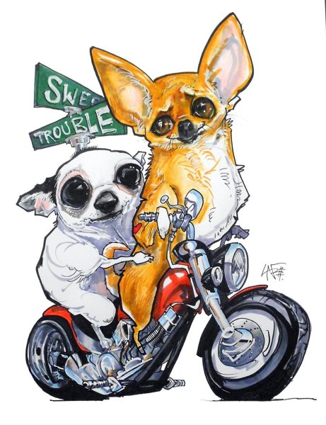 Карикатуры животных