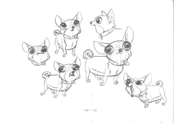 Чихуахуа референс