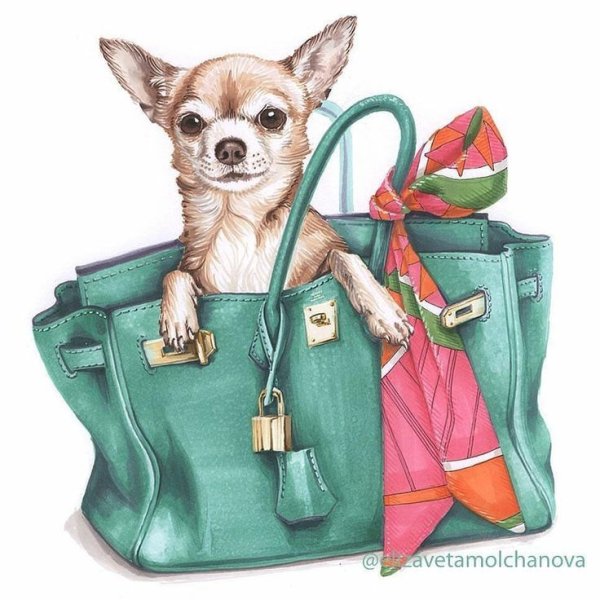 Дамская сумка для собачки