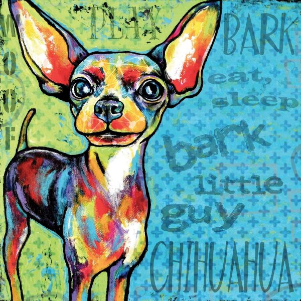 Чихуа арт