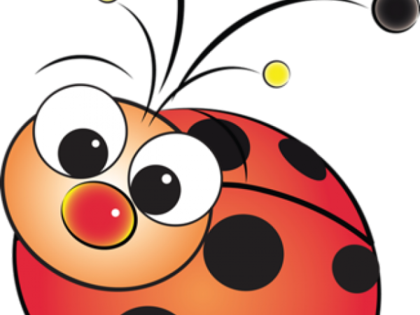 Глазки для Божьей коровки