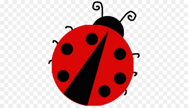 Трафарет Божьей коровки для стен